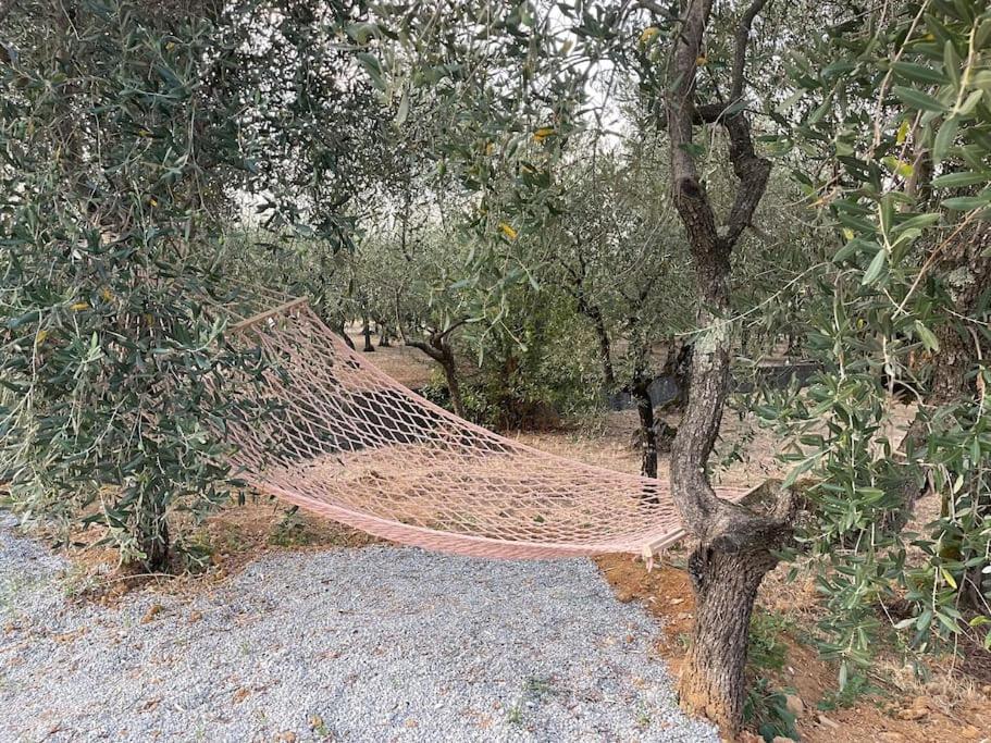 Il Fienile Di Alberto E Costanza لوكا المظهر الخارجي الصورة